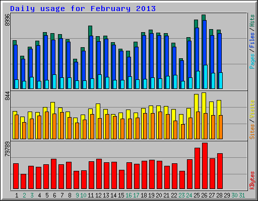 Daily usage for February 2013