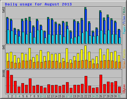 Daily usage for August 2013