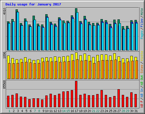 Daily usage for January 2017