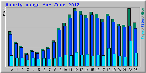 Hourly usage for June 2013