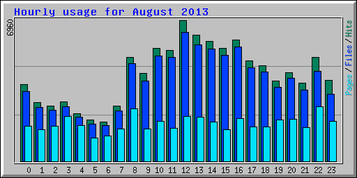 Hourly usage for August 2013