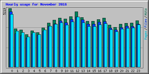 Hourly usage for November 2016