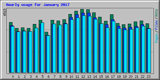 Hourly usage for January 2017